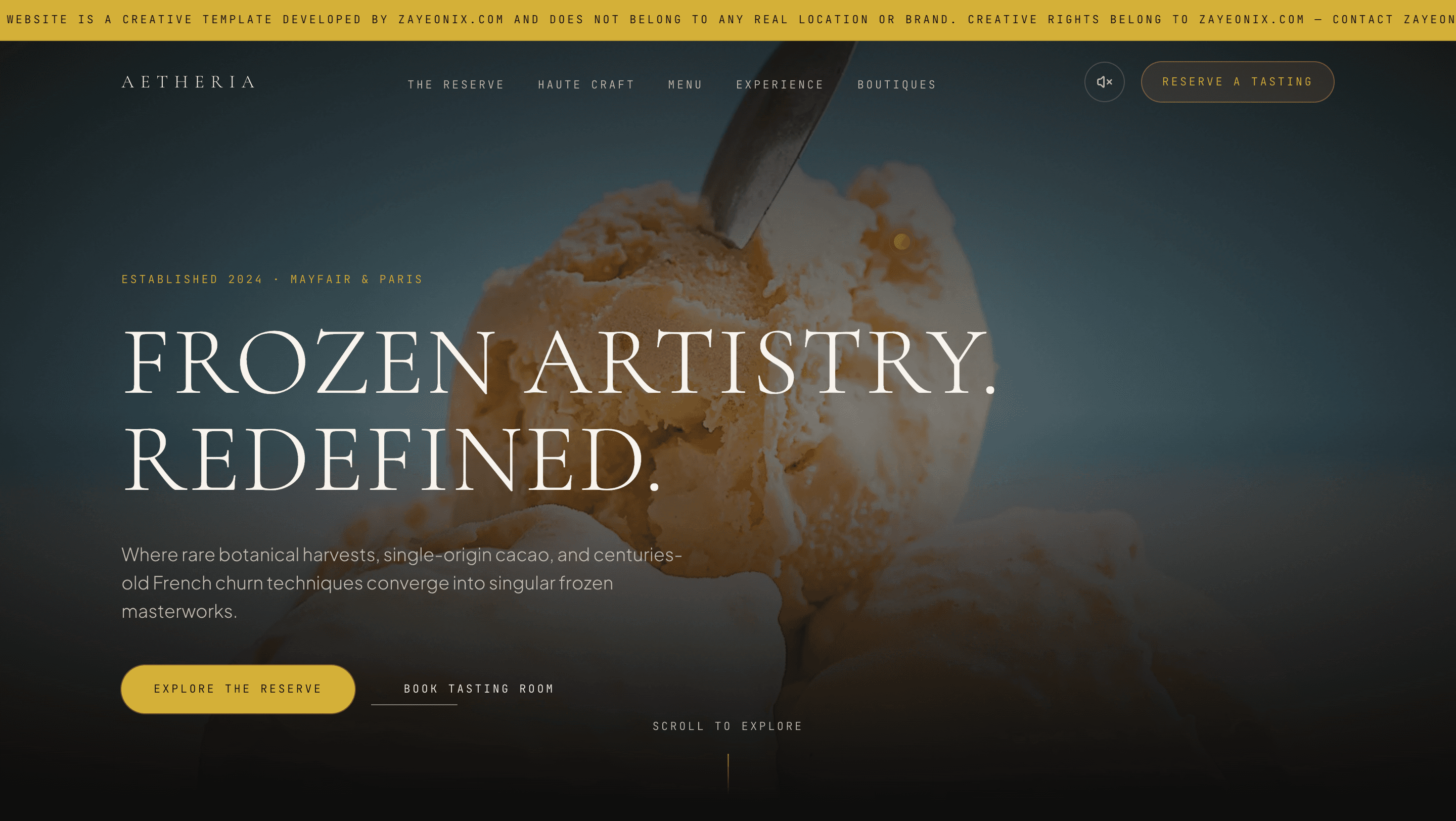 Aetheria website template